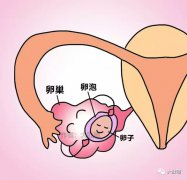 <b>什么時(shí)候懷孕最好？</b>